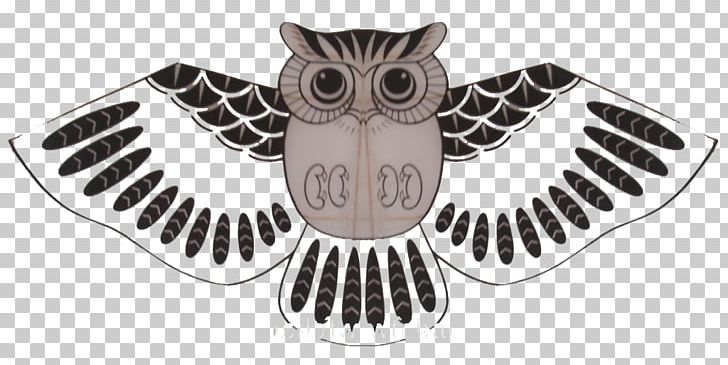 Weifang Owl Bird Kite Silk PNG, Clipart, Aliexpress, Animals, Beak, Bird, Bird Of Prey Free PNG Download