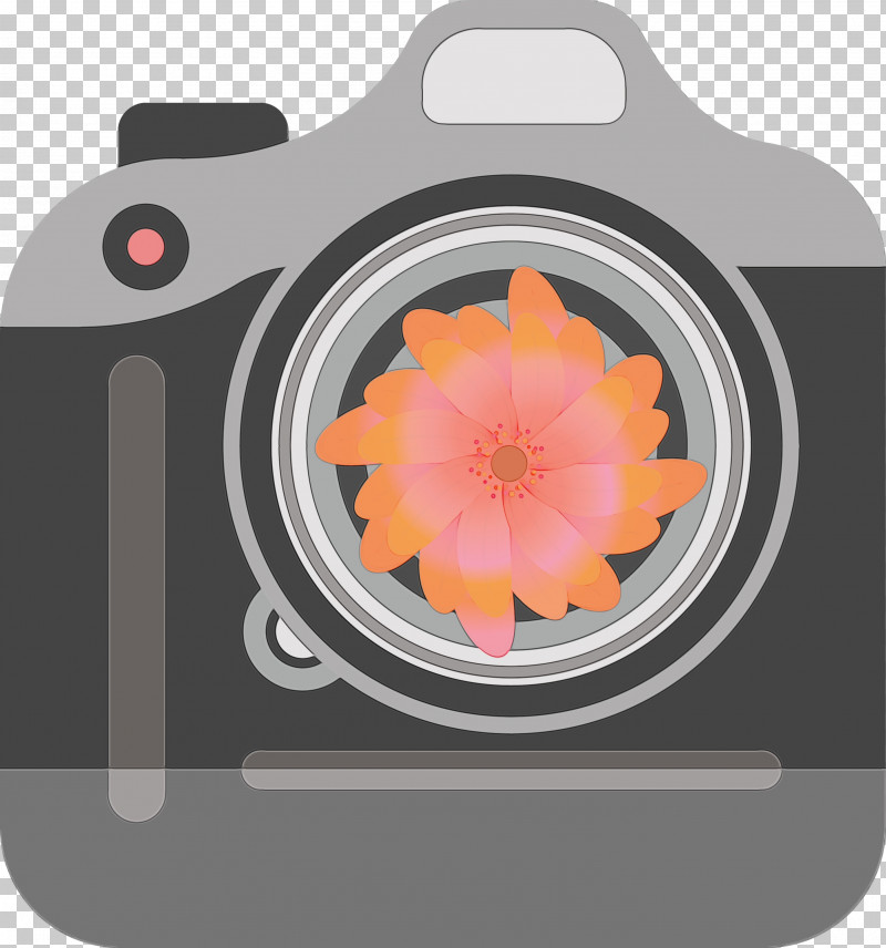 Flower Petal PNG, Clipart, Camera, Flower, Paint, Petal, Watercolor Free PNG Download