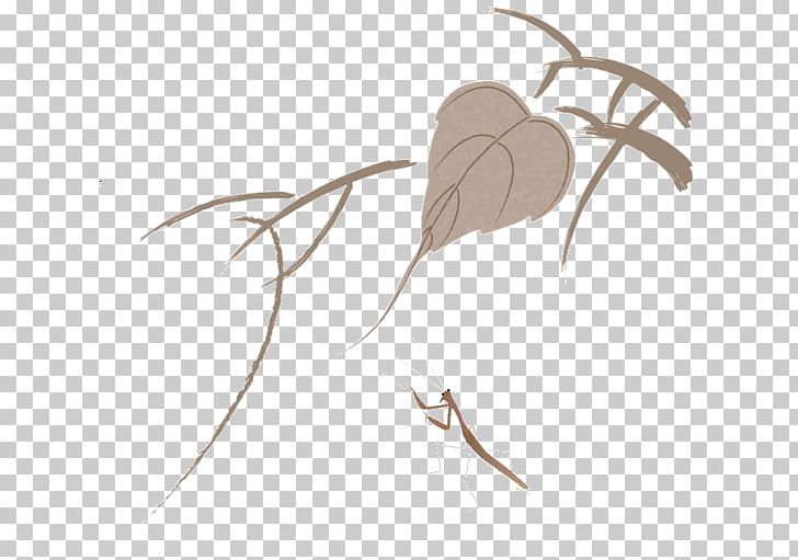 Leaf Mantis PNG, Clipart, Angle, Autumn, Autumn Leaves, Beige, Branch Free PNG Download
