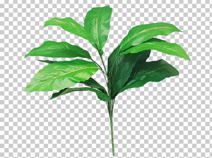 Artificial Leaves PNG Transparent Images Free Download