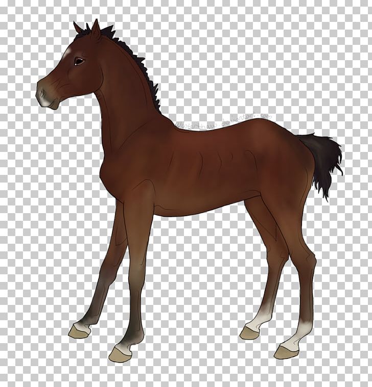 Mustang Foal Mare Stallion Pony PNG, Clipart, Animal Figure, Bit, Bridle, Colt, Foal Free PNG Download