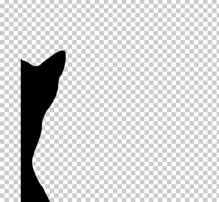 Whiskers Cat Dog White Canidae PNG, Clipart, Animals, Arm, Black, Carnivoran, Cat Free PNG Download