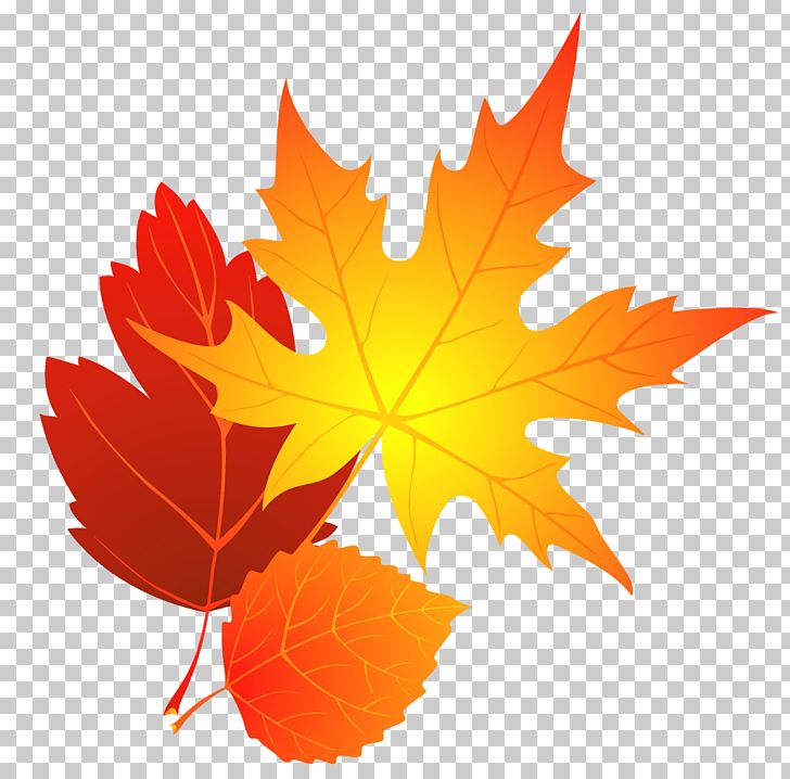 Autumn Leaf Color PNG, Clipart, Autumn, Autumn Leaf Color, Blog, Clipart, Clip Art Free PNG Download