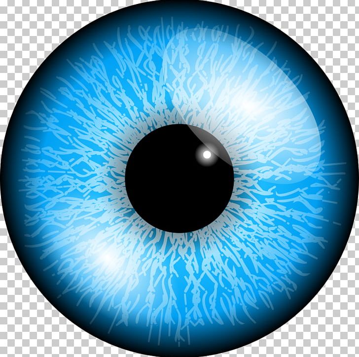 Eye Color Blue PNG, Clipart, Blue, Circle, Closeup, Color, Computer Wallpaper Free PNG Download