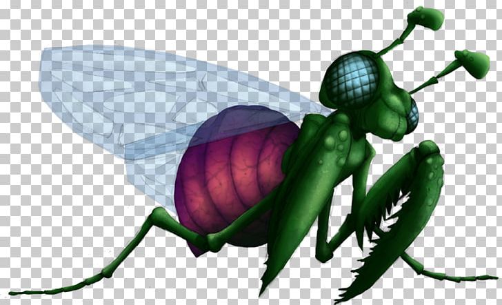 Illustration Insect Wing Pollinator PNG, Clipart, Arthropod, Fictional Character, Fly, Insect, Insect Wing Free PNG Download
