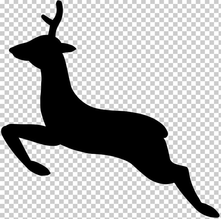 White-tailed Deer Silhouette PNG, Clipart, Animals, Antelope, Black And White, Computer Icons, Deer Free PNG Download