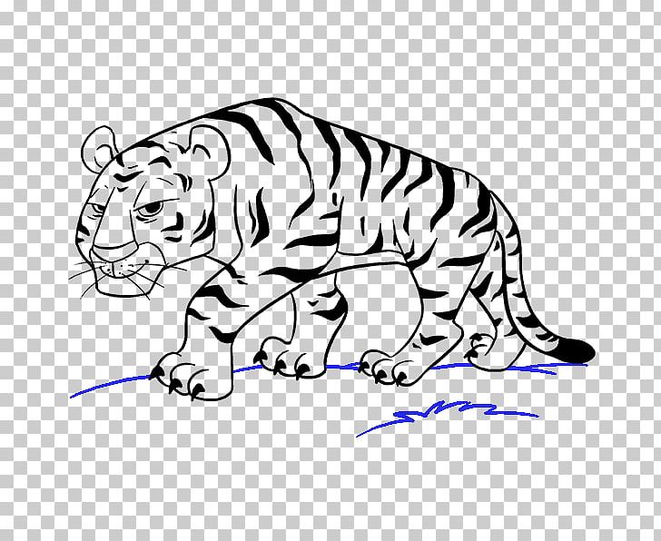 Drawing Tiger Cartoon Sketch PNG, Clipart, Area, Art, Art Museum, Big Cats, Black Free PNG Download