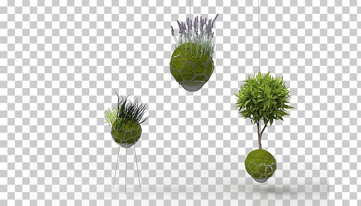 Product Design Kokedama Behance Flowerpot Self-sustainability PNG, Clipart, Behance, Flowerpot, Food, Grass, Grasses Free PNG Download