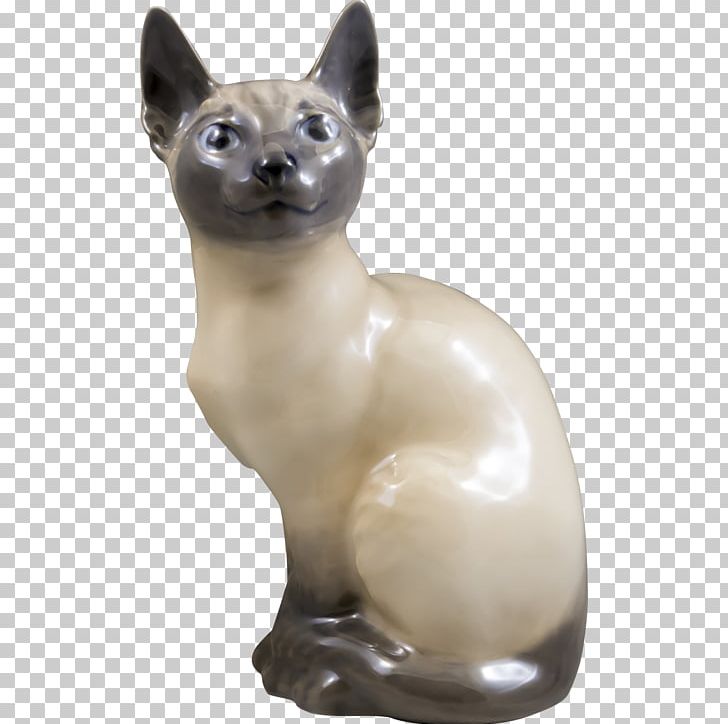 Siamese Cat Balinese Cat Tonkinese Cat Domestic Short Haired Cat