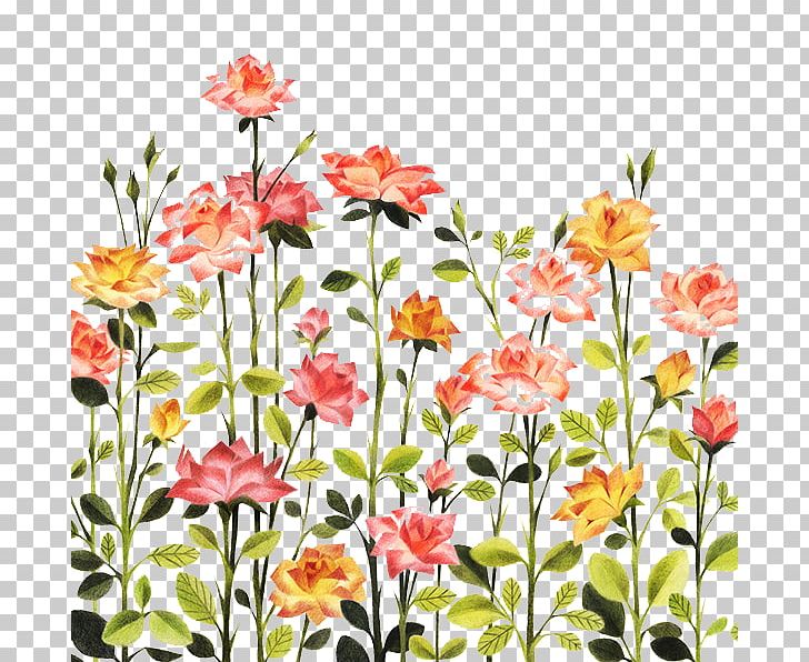 Rose Illustration PNG, Clipart, Cover, Creative Design, Dahlia, Daisy Family, Encapsulated Postscript Free PNG Download