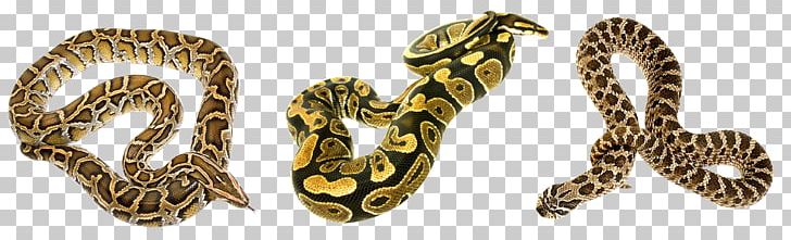 Snake Reptile Crotalus Mitchellii Eastern Green Mamba Animal PNG, Clipart, Animal, Animal Figure, Animals, Body Jewelry, Computer Icons Free PNG Download