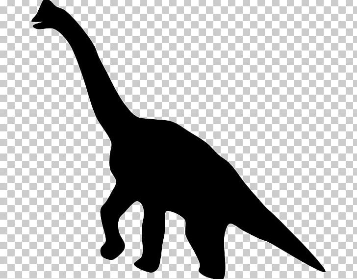Tyrannosaurus Spinosaurus Dinosaur Museum Giganotosaurus PNG, Clipart, Birthday, Black, Black And White, Carnivoran, Cat Free PNG Download