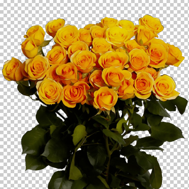 Floral Design PNG, Clipart, Carnation, Color, Cut Flowers, Floral Design, Flower Free PNG Download