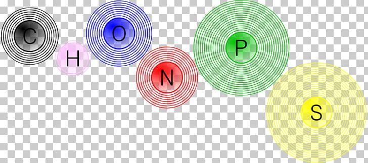 CHON Cell Chemistry Biology Nitrogen PNG, Clipart, Biology, Biomolecule, Carbon, Cell, Chemical Element Free PNG Download