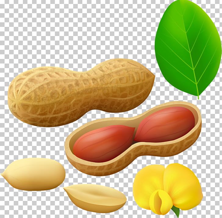 Peanut Portable Network Graphics PNG, Clipart,  Free PNG Download
