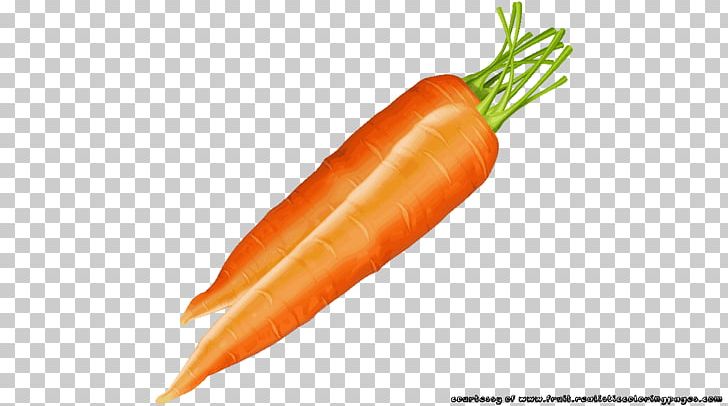 Natural Foods Food Orange PNG, Clipart, Art, Auglis, Baby Carrot, Carrot, Cartoon Free PNG Download
