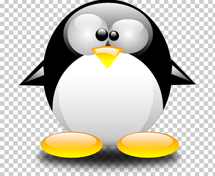 Club Penguin Tuxedo PNG, Clipart, Animals, Avatar, Beak, Bird, Club Penguin Free PNG Download