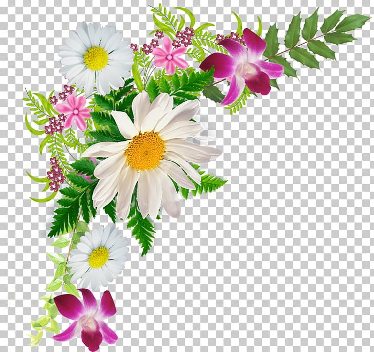 Cut Flowers PNG, Clipart, Annual Plant, Daisy Family, Flower, Flower Arranging, Herbaceous Plant Free PNG Download