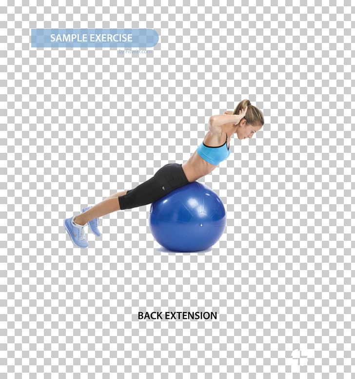 Exercise Balls Pilates Abdominal Exercise Core PNG, Clipart, Abdomen, Abdominal Exercise, Arm, Balance, Ball Free PNG Download