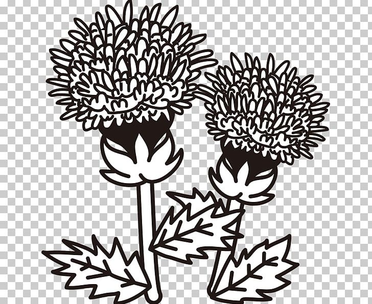 Black And White Design Illustration Line Art PNG, Clipart, Art, Artwork, Black And White, Branch, Flora Free PNG Download