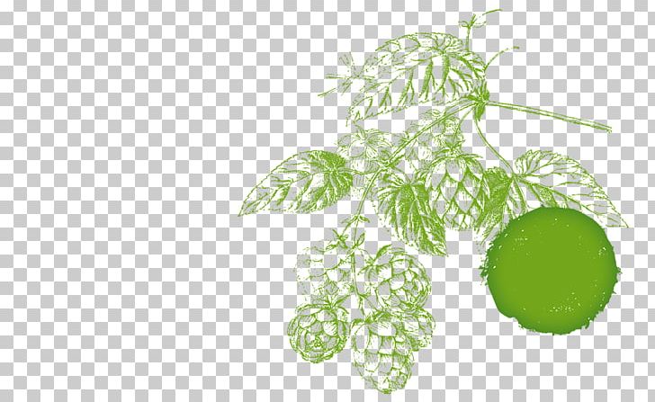 /m/02csf Drawing Irrigation PNG, Clipart, Branch, Branching, Die Zeit, Drawing, Flora Free PNG Download