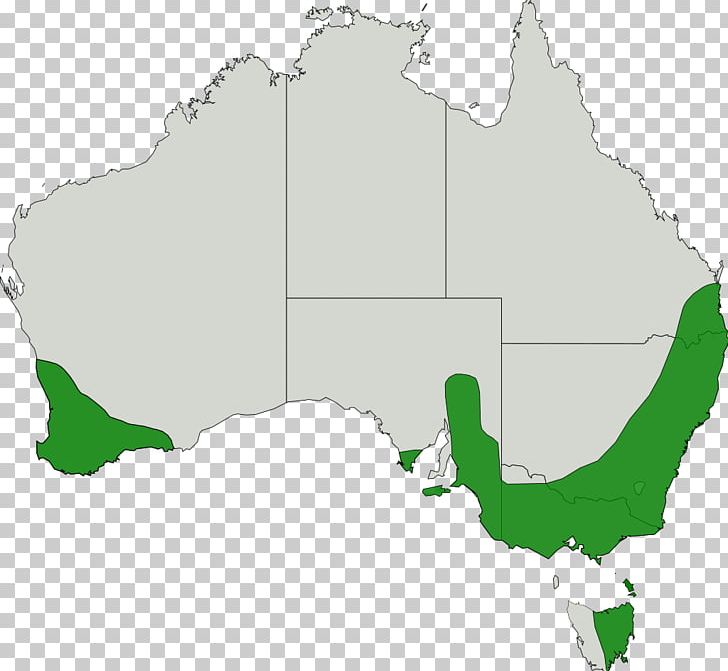 United States South Australia Victoria Government PNG, Clipart, Area, Australia, Ecoregion, Government, Map Free PNG Download