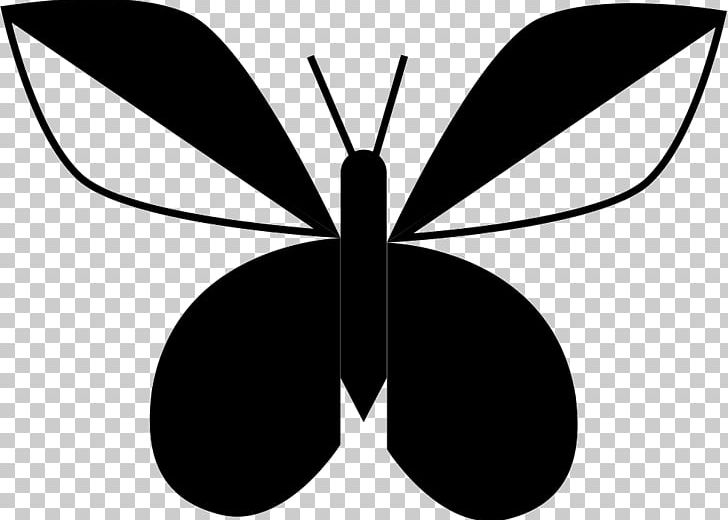 Brush-footed Butterflies Butterfly Insect Symmetry PNG, Clipart, Arthropod, Black And White, Brush Footed Butterfly, Butterfly, Fly Free PNG Download