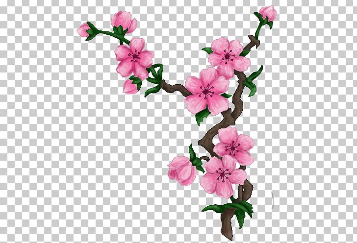 Cherry Blossom Drawing Art PNG, Clipart, Art Museum, Azalea, Blossom, Branch, Cherry Free PNG Download
