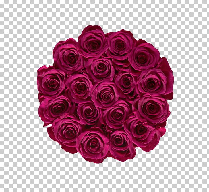 Garden Roses Raspberry Pi Fruit Berries PNG, Clipart, Berries, Berry, Cabbage Rose, Color, Cut Flowers Free PNG Download