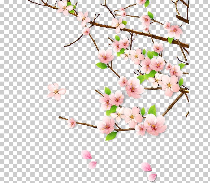 Peach Blossom PNG, Clipart, Blossoms, Blossom Vector, Branch, Cherry Blossom, Cherry Blossoms Free PNG Download