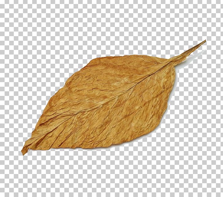 Tobacco Products Leaf Commodity Kyrgyzstan PNG, Clipart, Agriculture, Commodity, Germany National Football Team, Kyrgyzstan, Leaf Free PNG Download