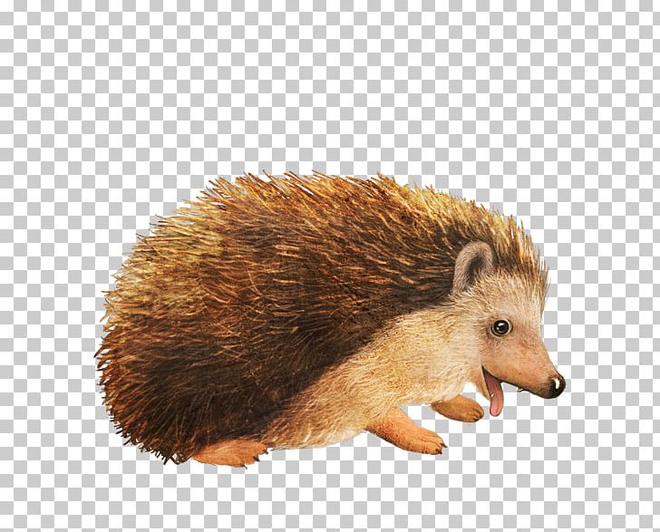Amur Hedgehog Animal PNG, Clipart, Animal, Animals, Cartoon, Cartoon Alien, Cartoon Character Free PNG Download