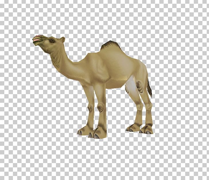 Dromedary Zoo Tycoon 2: Marine Mania Video Game Animal PNG, Clipart, Animal, Animal Figure, Arabian Camel, Camel, Camel Like Mammal Free PNG Download