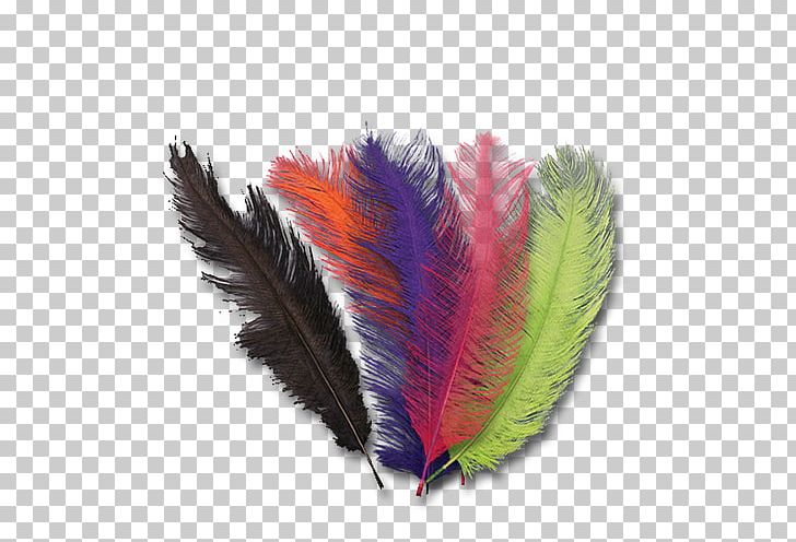 Feather PNG, Clipart, Animals, Feather, Olive The Ostrich, Quill, Wing Free PNG Download
