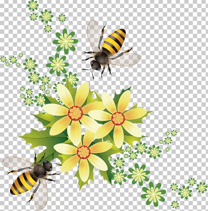 Honey Bee Insect Honey Bee Honeycomb PNG, Clipart, Arthropod, Bee, Creamed Honey, Cut Flowers, Daisy Free PNG Download