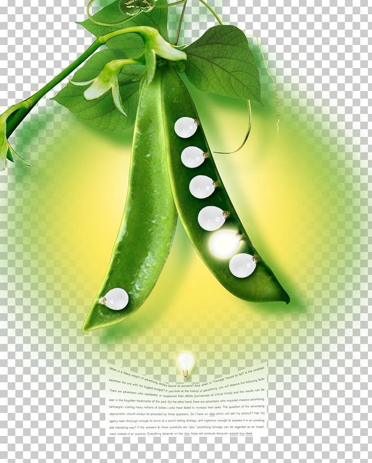 Incandescent Light Bulb Pea PNG, Clipart, Alternative Medicine, Bulb, Bulb Vector, Color, Creative Ads Free PNG Download