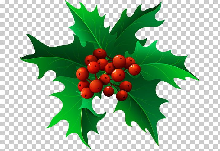 Mistletoe Desktop PNG, Clipart, Aquifoliaceae, Aquifoliales, Berry, Christmas, Common Holly Free PNG Download