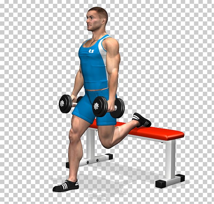 Squat Exercise Quadriceps Femoris Muscle Dumbbell PNG, Clipart, Abdomen, Arm, Exercise, Fitness Centre, Fitness Professional Free PNG Download