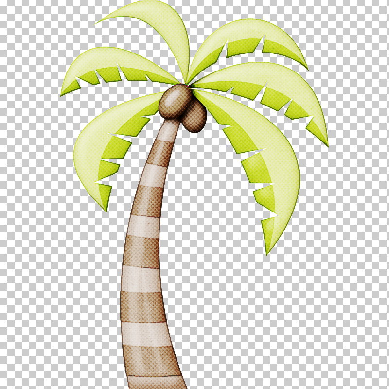 Palm Tree PNG, Clipart, Arecales, Coconut, Leaf, Palm Tree, Plant Free PNG Download