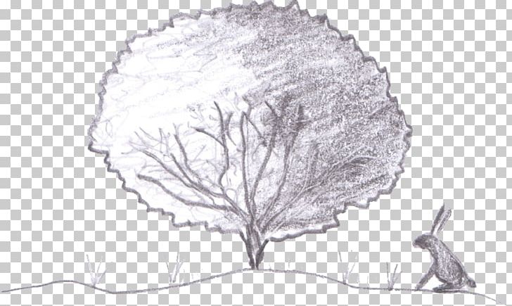 Drawing Tree Woody Plant Sketch PNG, Clipart, Artwork, Black And White, Branch, Drawing, Leaf Free PNG Download