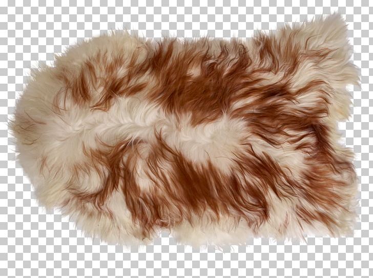Fur Clothing Animal Product Shoe Brown PNG, Clipart, Animal, Animal Product, Brown, Clothing, Fur Free PNG Download