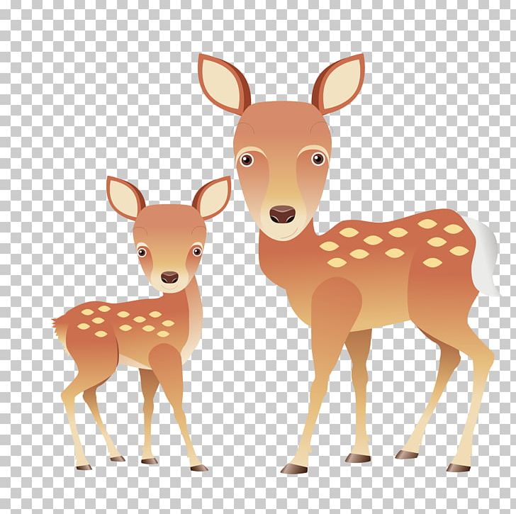 Reindeer Red Deer White-tailed Deer Illustration PNG, Clipart, Antler, Christmas Deer, Deer, Deer Antlers, Deer Forest Free PNG Download