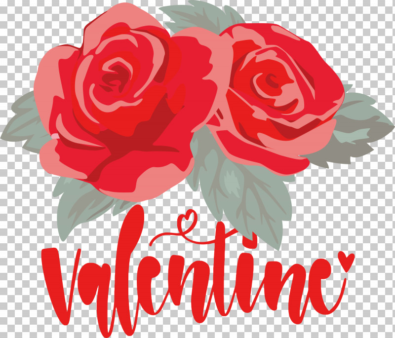 Valentines Day Valentine Love PNG, Clipart, Blue, Blue Rose, Cabbage Rose, Cut Flowers, Flower Free PNG Download