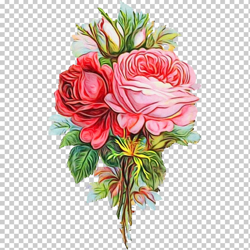 Garden Roses PNG, Clipart, Artificial Flower, Cabbage Rose, Carnation, Cut Flowers, Cutting Free PNG Download