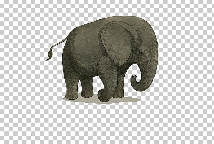 Indian Elephant African Elephant Hathi Jr. Illustration PNG, Clipart, Animal, Animals, Asian Elephant, Baby, Baby Clothes Free PNG Download