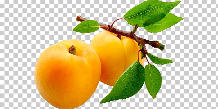 Juice Apricot Nectar Fruit PNG, Clipart, Acerola Family, Apple, Apricot, Auglis, Citrus Free PNG Download