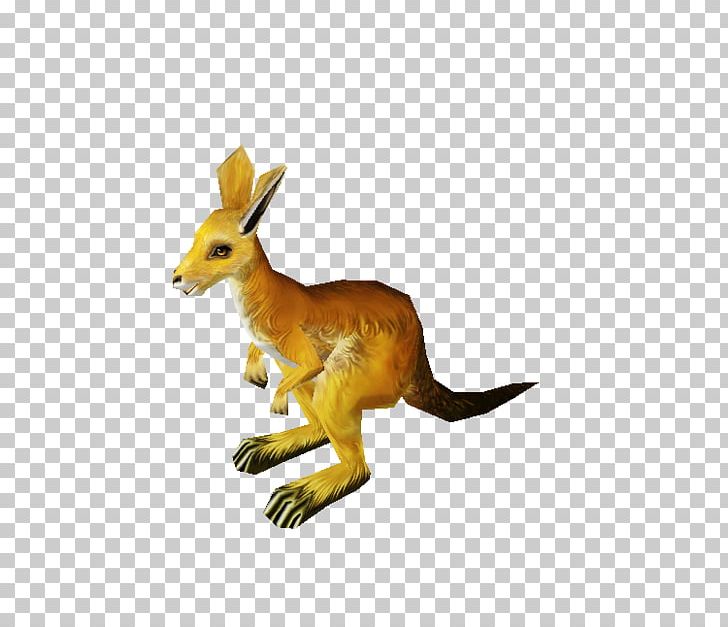 Kangaroo Macropodidae Red Fox Tail Animal PNG, Clipart, Animal, Animal Figure, Animals, Fauna, F D Free PNG Download