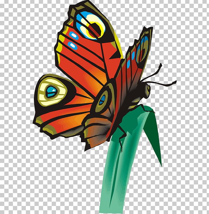 Monarch Butterfly Brush-footed Butterflies Tiger Milkweed Butterflies PNG, Clipart, Arthropod, Brush Footed Butterflies, Brush Footed Butterfly, Butterfly, Clip Art Free PNG Download
