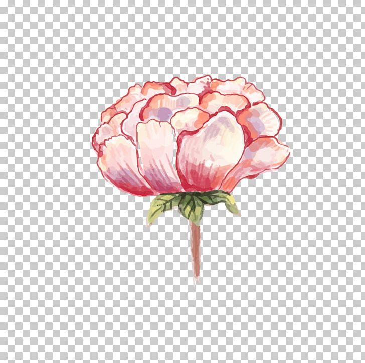 Watercolor: Flowers Watercolor Painting Peony PNG, Clipart, Cut Flowers, Download, Floral Design, Floristry, Flower Free PNG Download