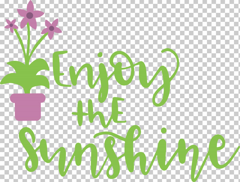 Sunshine Enjoy The Sunshine PNG, Clipart, Biology, Floral Design, Geometry, Green, Happiness Free PNG Download